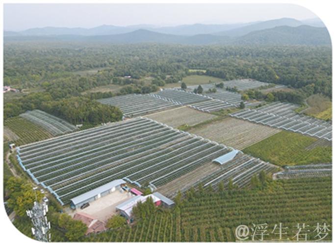 “三夏”里的新质生产力 “三夏”里的新质生产力